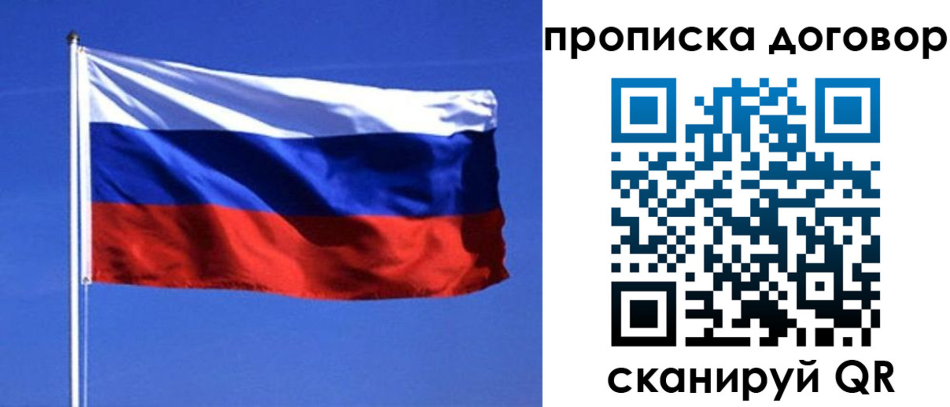 прописка поиск в Сельцо